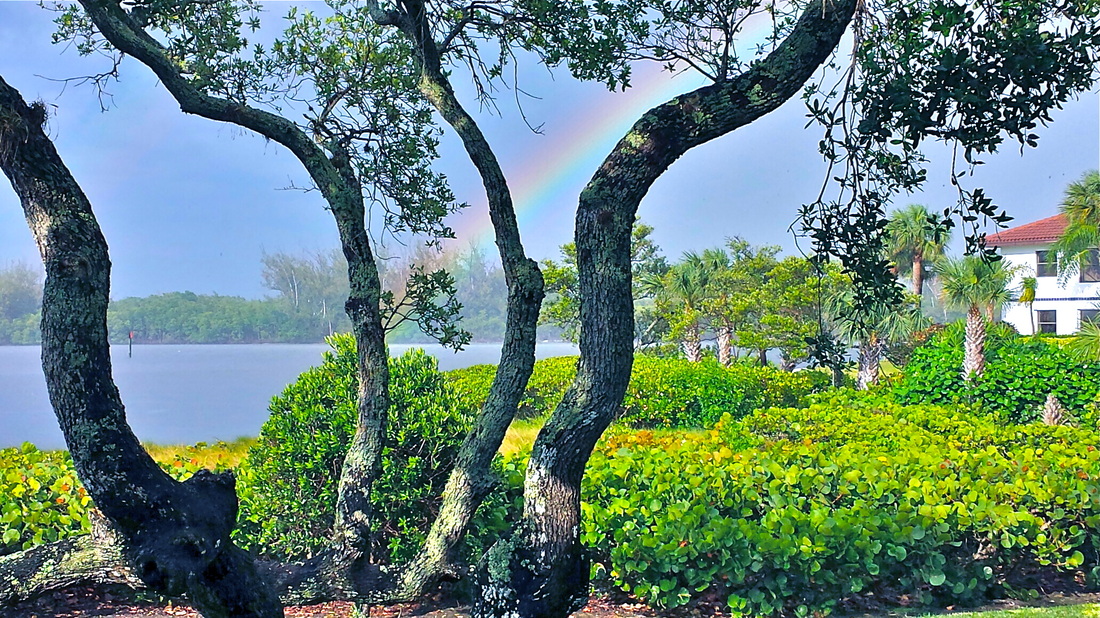 Photograph of a rainbow over Hanson's Landing